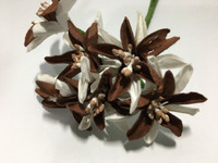 Brown/Whie Paper Flower #8091