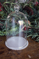 Glass Dome 5" Tall