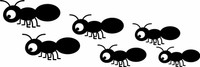 Ants  Set of 6 - Laser Die Cut
