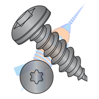 10-16 x 3/4 6 lobe Pan Self Tapping Screw Type A B Full Thread 18-8 Stainless Steel Black Ox