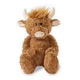 Highland Cow – Carlos