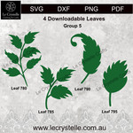 Group 5 Leaves 