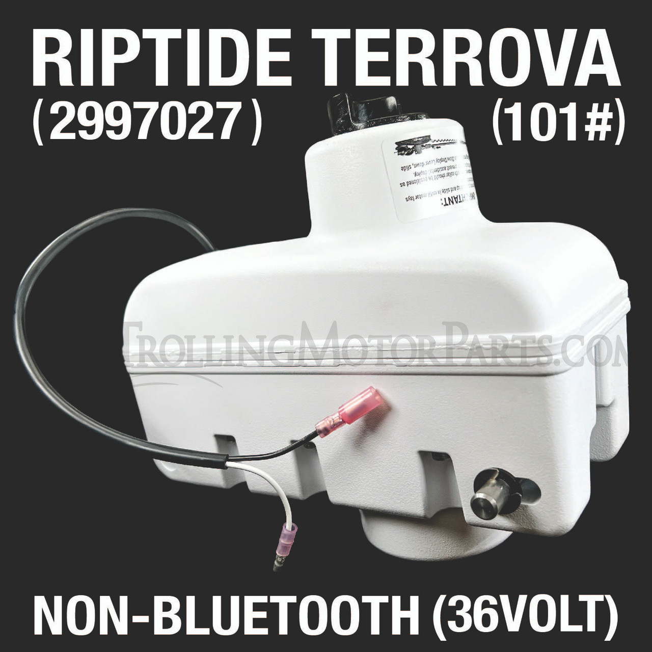Ditmars様 minn_kota_riptide_st_terrova_s