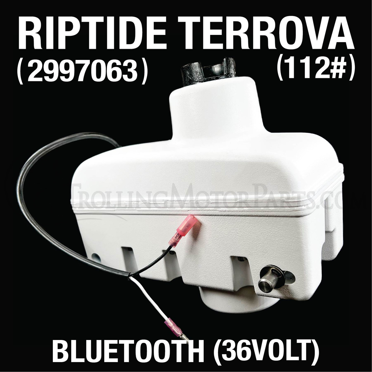 dilemma stilte Goed opgeleid Minn Kota Riptide ST Terrova Steering Motor (Bluetooth)(36 Volt)(112#) -  Trollingmotorparts.com