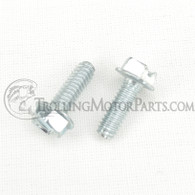 Minn Kota Brush Plate Bolt (112#)(2-Pack) - 2053410