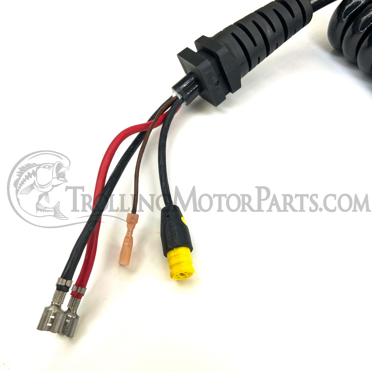 Minn Kota Coil Cord Assembly w/US2 (Terrova/Ulterra)(54-60 Minn Kota Coil Cord Assembly w/US2 (Terrova/Ulterra)(54-60