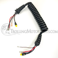 Minn Kota Coil Cord Assembly w/US2 (Terrova/Ulterra)(54-60") - 2991272