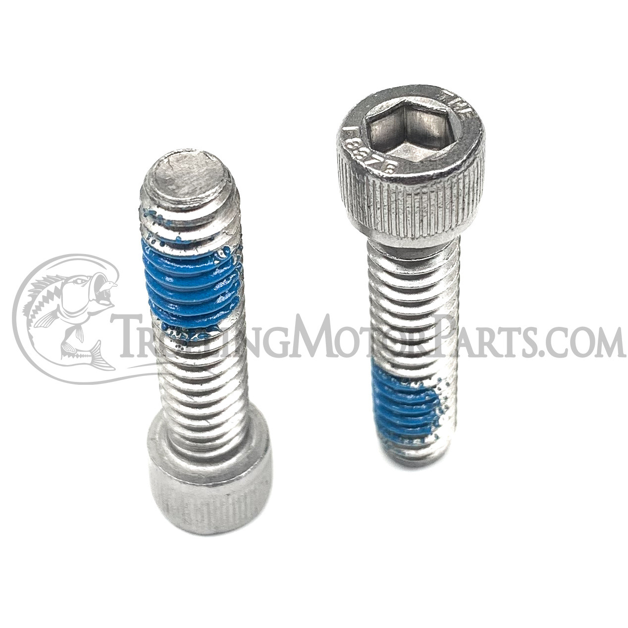 Minn Kota Column Clamp Screw (1/4-20 x 1