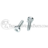 Minn Kota Zinc Screw (M3-0.5 x 10mm)(2-Pack) - 2053422