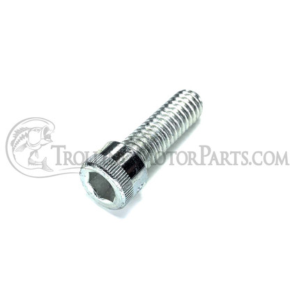 Minn Kota Bowguard Bracket Base Screw (5/16-18 x 1")(Zinc) - 2263423