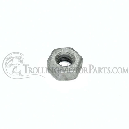 Minn Kota Stainless Hex Nut (1/4-20) - 3393130