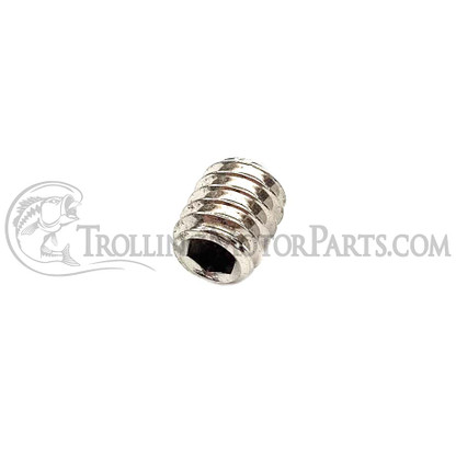 Motor Guide Hex Head Set Screw (1/4-20 x .312") - M899381T