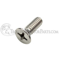 Motor Guide Lower Unit Anode Screw (1/4-20 x .75")