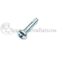 Motor Guide Stainless Screw (#8 x .75")