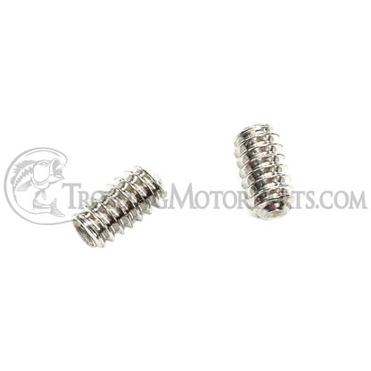 Minn Kota Rear Pivot Set Screw (2-Pack) - 2283402