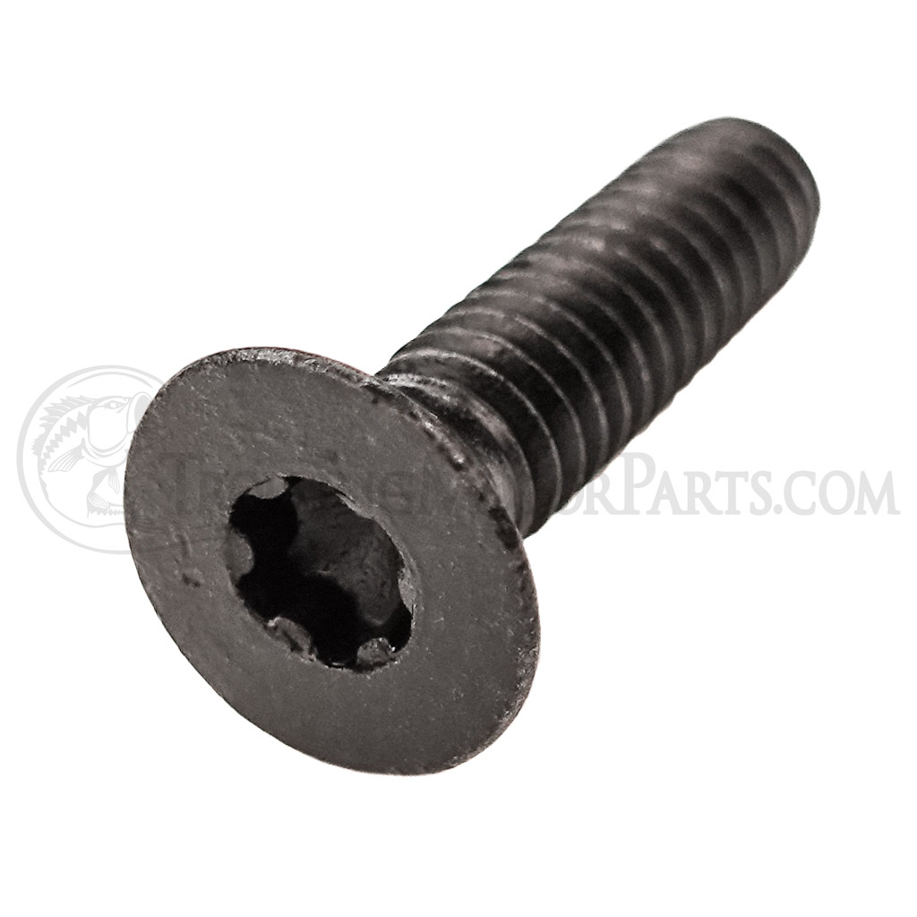 Minn Kota Rear Pivot Torx Screw (Fortrex/Ultrex)(1/4-20 x 1