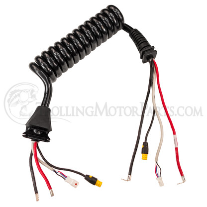 Minn Kota Quest Coil Cord Assembly (45-60") - 2991245