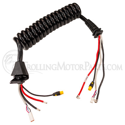 Minn Kota Quest Coil Cord Assembly (72") - 2991246
