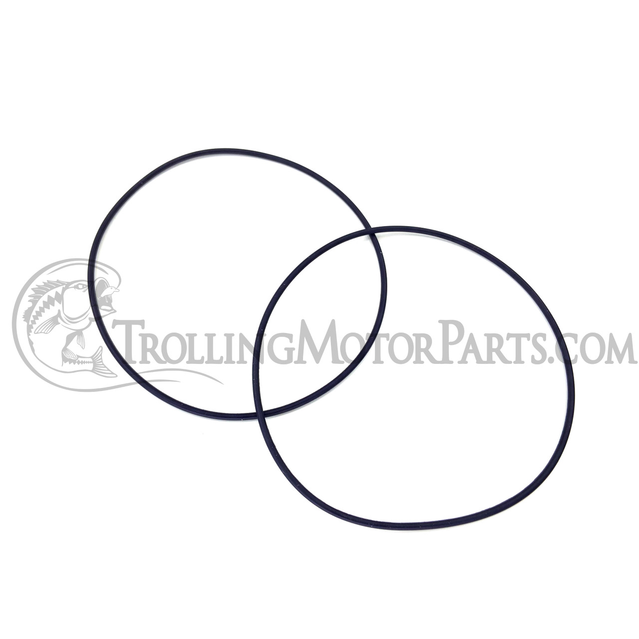 【メール便無料】 アレスグラフィオ 940100180 R3 Freshwater Transom Mount