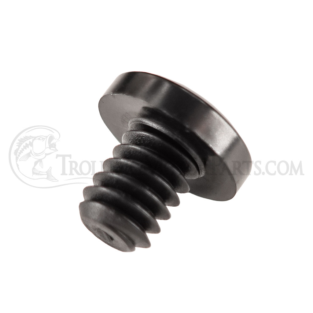 Minn Kota Quest Steering Motor Bottom Housing Screw (1/4-20 x .313