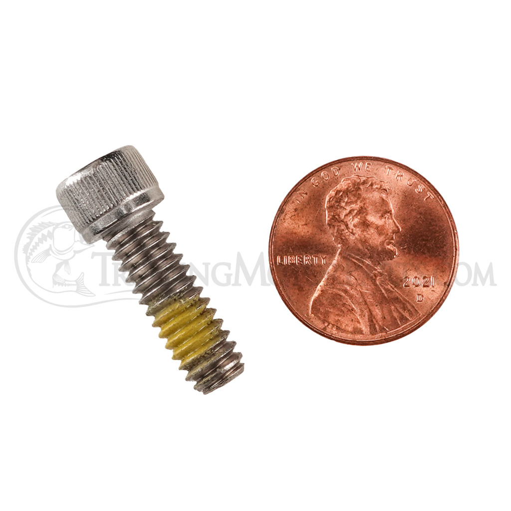 Minn Kota Socket Head Cap Screw (1/4-20 x 3/4