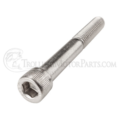 Minn Kota Bowguard Bracket Base Screw (5/16-18 x 2.5")(Stainless) - 2263424