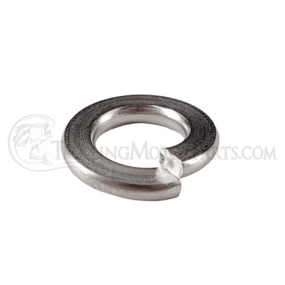 Minn Kota Raptor Lock Washer (M6)(Stainless) - 2351731