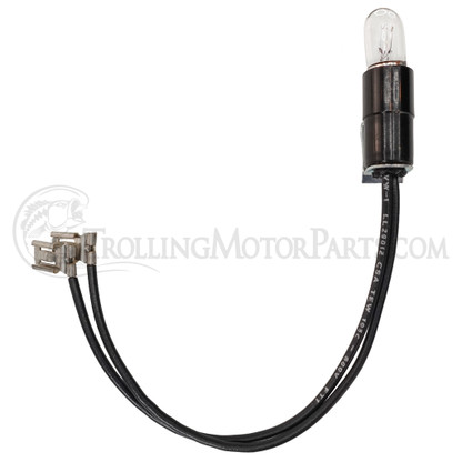 Motor Guide 24 Volt Lamp / Holder Assembly - MAF393022