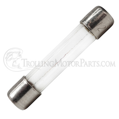Motor Guide 3 Amp Fuse (250V / 312) - M00234T
