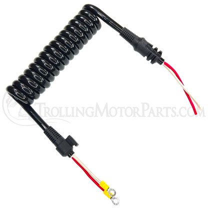 Motor Guide Coil Cord Assembly (Xi3/Xi5) - 8M0029237