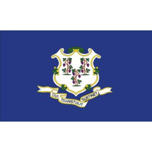 Hilton International State Flag - Connecticut