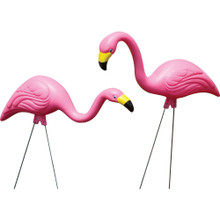 Bloem Pink Flamingo Large/2 Pack 811214020599