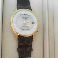Citizen Exceed EBG74-2375 Date Used Eco-Drive Solar Mens Watch Authentic Working