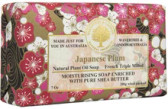 Wavertree & London Japanese Plum
