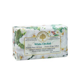 Wavertree & London White Orchid