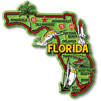 Florida Colorful State Magnet by Classic Magnets, 3.7" x 3.9", Collectible Souvenirs Made in the USA