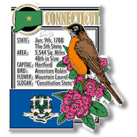 Connecticut State Montage Magnet by Classic Magnets, 2.9" x 3.2", Collectible Souvenirs Made in the USA