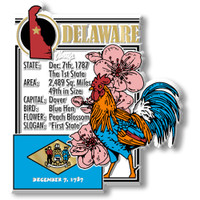 Delaware State Montage Magnet by Classic Magnets, 2.8" x 3.3", Collectible Souvenirs Made in the USA