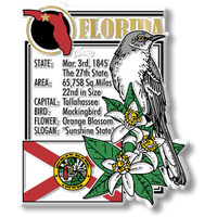 Florida State Montage Magnet by Classic Magnets, 2.8" x 3.3", Collectible Souvenirs Made in the USA