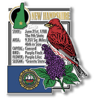 New Hampshire State Montage Magnet by Classic Magnets, 3" x 3.3", Collectible Souvenirs Made in the USA