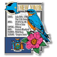 New York State Montage Magnet by Classic Magnets, 2.6" x 3.2", Collectible Souvenirs Made in the USA