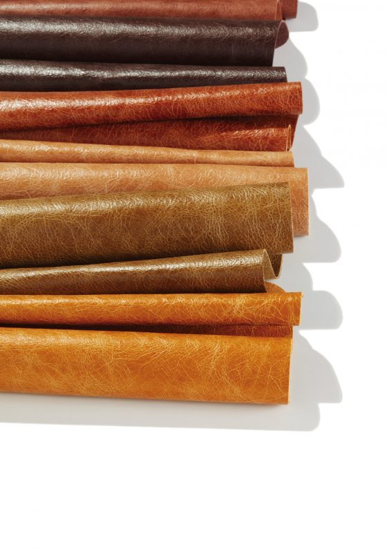 7-75x11-pista-web-image-560x795.jpg