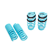GODSPEED TRACTION-S™ PERFORMANCE LOWERING SPRINGS FOR DODGE CHARGER SRT8 RWD W/O NIVOMAT 2005-14