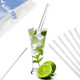 kilofly Glass Drinking Straws 9 in x 10 mm [Pack of 6 + 1 Brush]