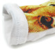kilofly Funny Novelty Photo Socks Value Pack [Set of 2], Be a Millionaire