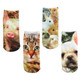 kilofly Funny Novelty Photo Socks Value Pack [Set of 4], Treasure Buddies