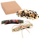 kilofly 3pc Classic Hair Clip Barrette Ponytail Accent Pin Value Pack + Gift Box