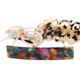 kilofly 3pc Classic Hair Clip Barrette Ponytail Accent Pin Value Pack + Gift Box