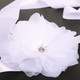 kilofly 2pc Women's Crystal Bridal Belt Wedding Dress Waistband Sash + Gift Box