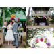 kilofly 14pc Party Honeycomb Paper Ball Tissue Pom Pom Garland Party Fan Set